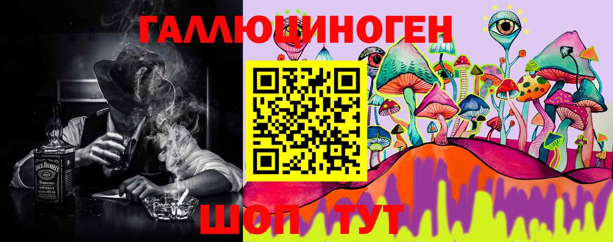 Галлюциногенные грибы GOLDEN TEACHER Гусиноозёрск